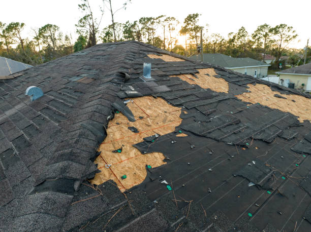 Best Cold Roofs  in Mount Pocono, PA